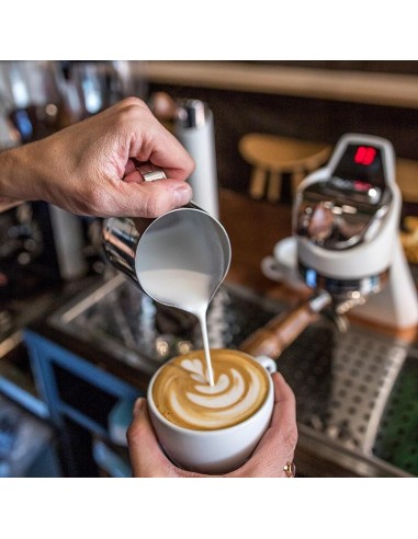 Combo : Réussir l'espresso & Découvrir le Latte Art de la marque