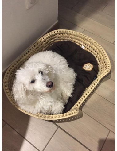 Panier Corbeille à CHIEN ou CHAT - Tressé  Main en Palmier - Pour animaux - ARTISANAL paille osier rotin À commander