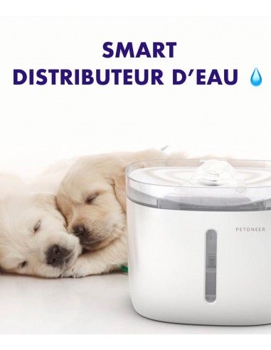 SMART distributeur d'eau pour animaux de compagnie chats chien  1.9L fontaine à boire Profitez des Offres !